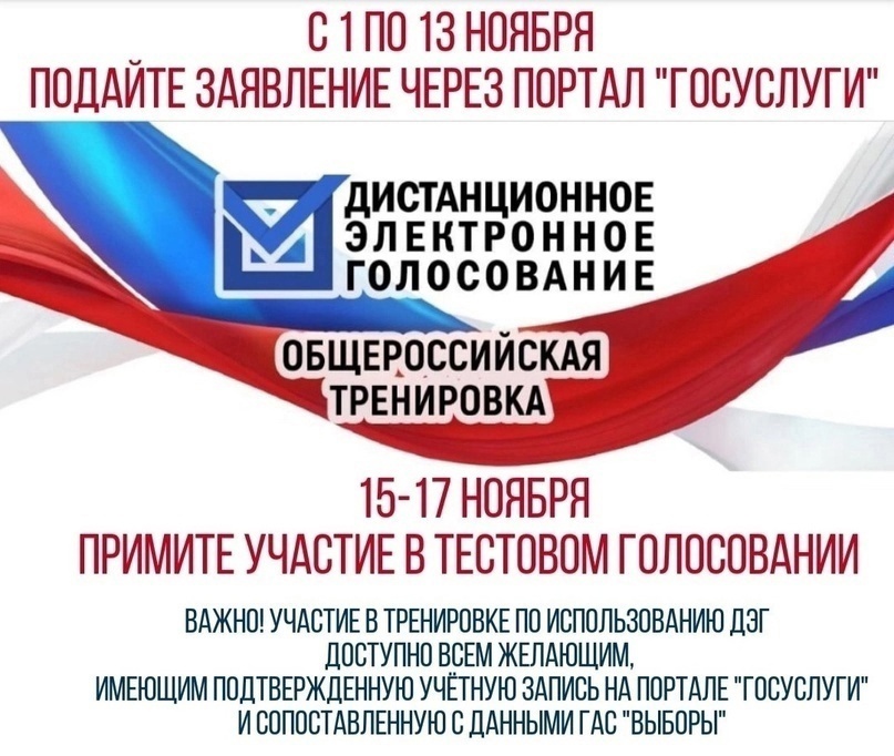 Избиратели Шебекинского городского округа могут протестировать сервис дистанционного электронного голосования (ДЭГ).