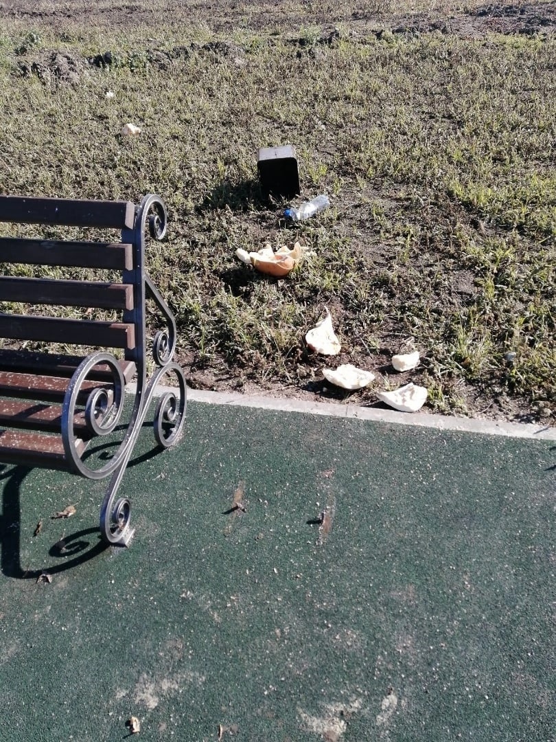В парке по улице Молодежной села Купино вандалы испортили урны и изрисовали лавочки, которые были установлены в рамках проекта инициативного бюджетирования всего месяц назад..