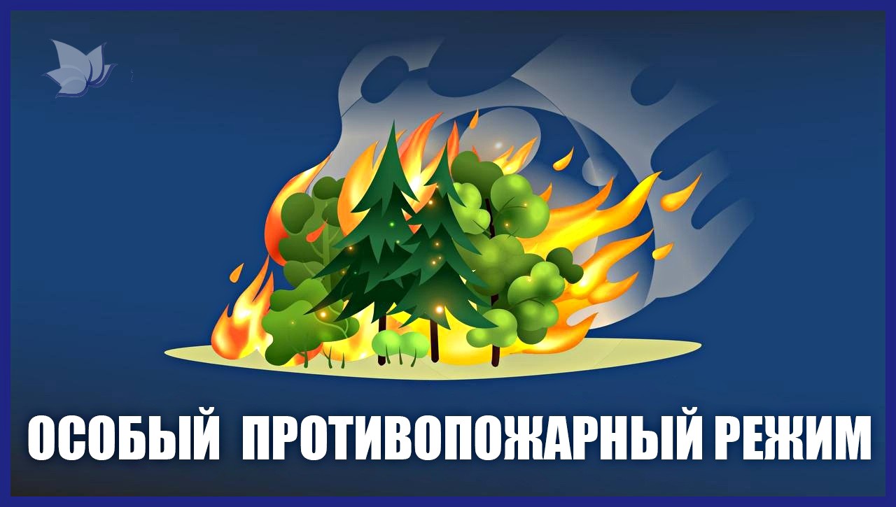 Напоминаем, что с 21 апреля в Белгородской области действует особый противопожарный режим.