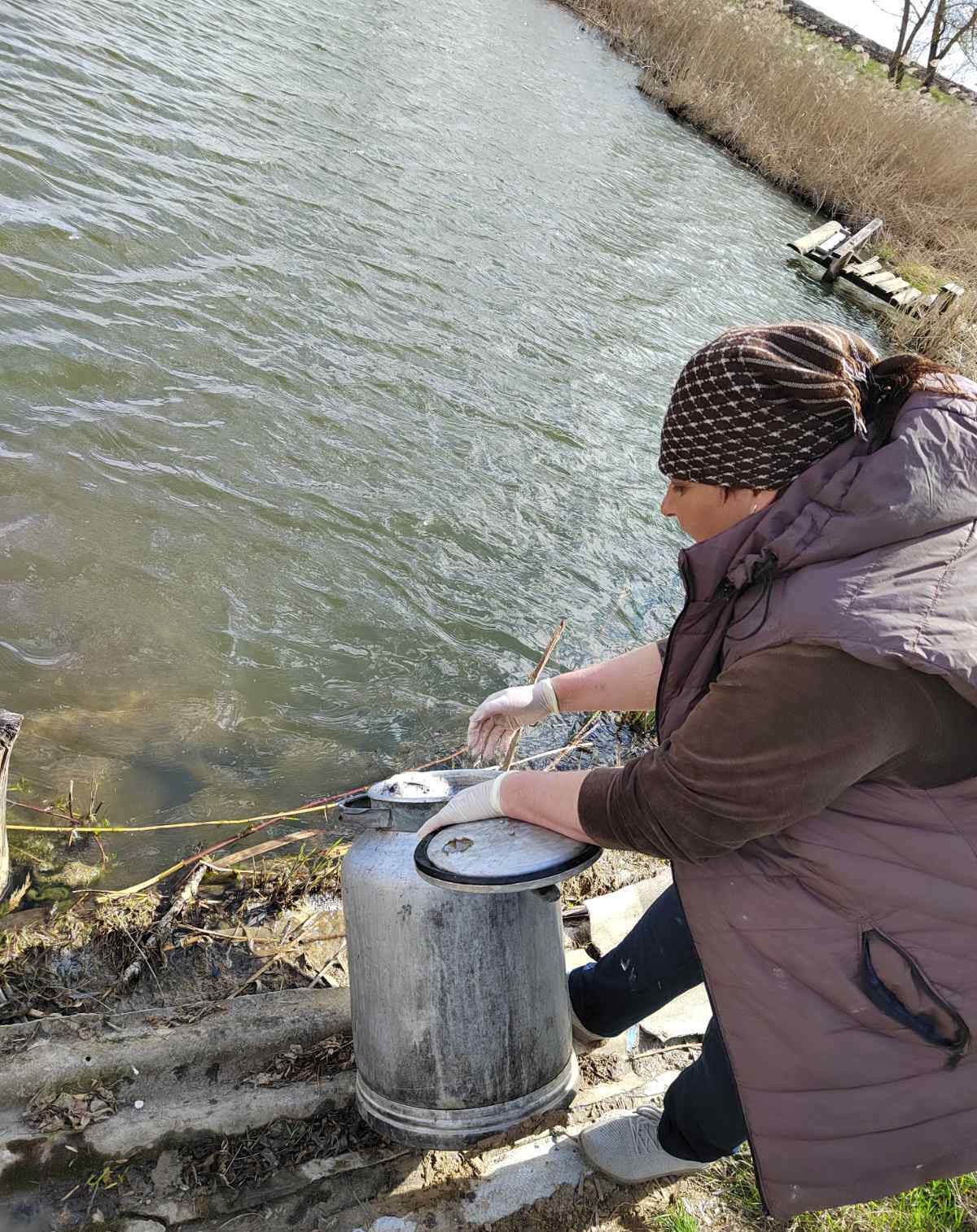Активный участник ТОС «Пионерский» Бочарников Андрей организовал зарыбление пруда в селе Яблочково.