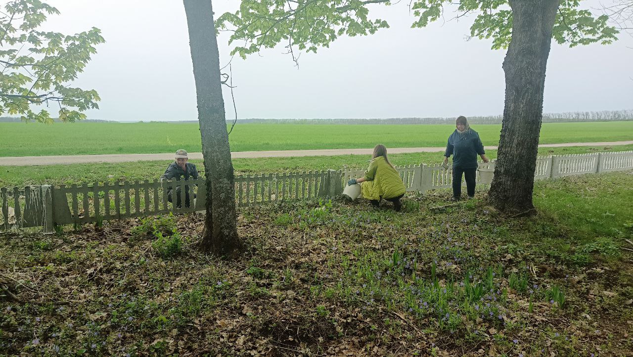 Сотрудники администрации побелили ограждения кладбища в селе Заводцы.