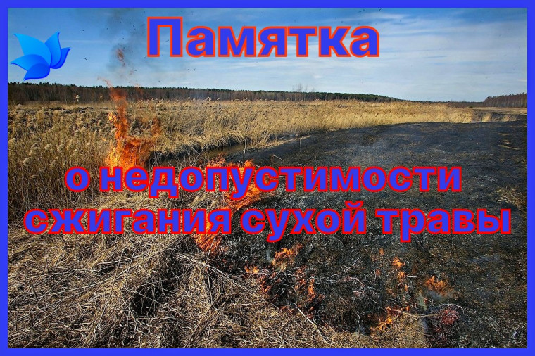 Памятка о недопустимости сжигания сухой травы:. Памятка о недопустимости сжигания сухой травы:.