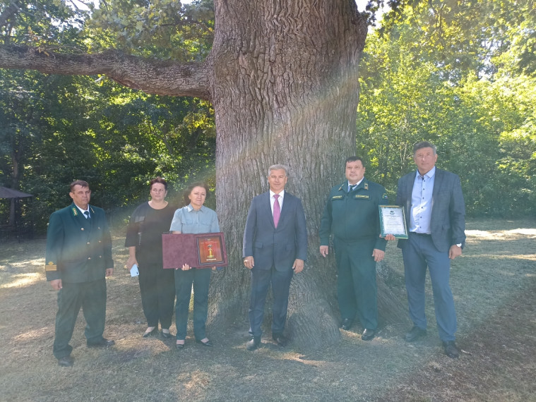 Знаменитый шебекинский «Панский дуб» из села Яблочково занял второе место в национальном конкурсе «Российское дерево года 2023».