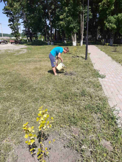 Субботник по уборке и облагораживанию территории парка села Дмитриевка.